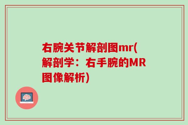 右腕关节解剖图mr(解剖学：右手腕的MR图像解析)