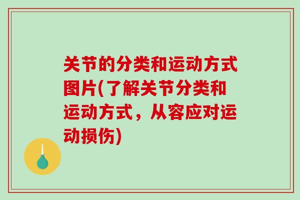 关节的分类和运动方式图片(了解关节分类和运动方式，从容应对运动损伤)