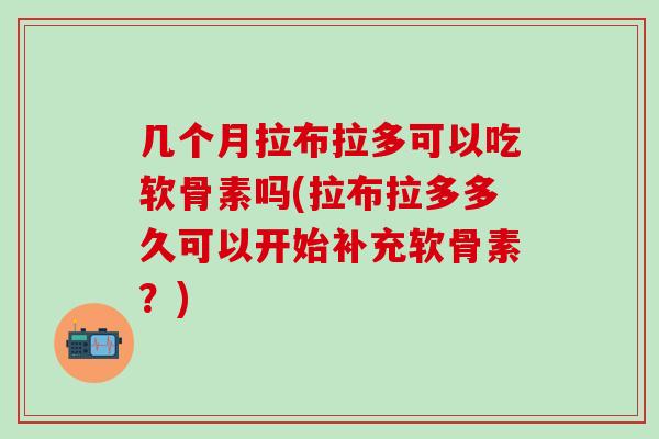 几个月拉布拉多可以吃软骨素吗(拉布拉多多久可以开始补充软骨素？)