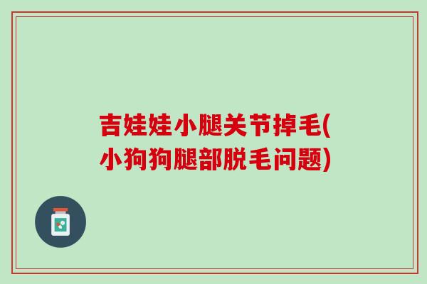 吉娃娃小腿关节掉毛(小狗狗腿部脱毛问题)