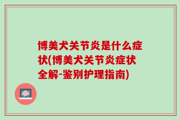 博美犬关节炎是什么症状(博美犬关节炎症状全解-鉴别护理指南)