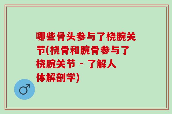 哪些骨头参与了桡腕关节(桡骨和腕骨参与了桡腕关节 - 了解人体解剖学)