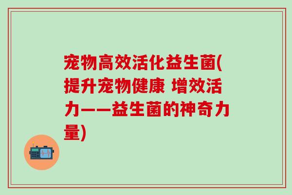 宠物高效活化益生菌(提升宠物健康 增效活力——益生菌的神奇力量)