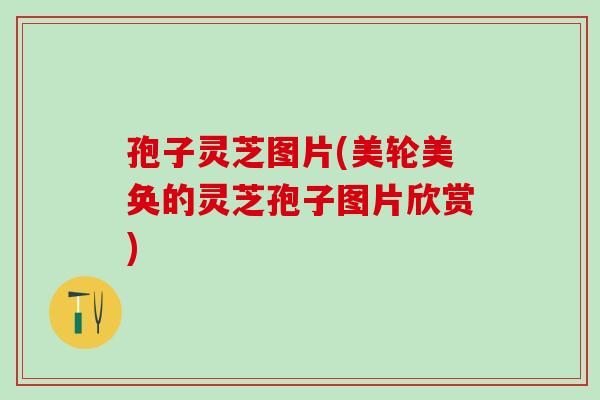 孢子灵芝图片(美轮美奂的灵芝孢子图片欣赏)