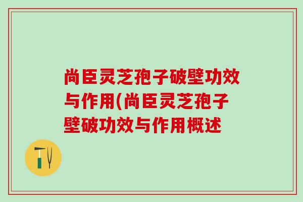 尚臣灵芝孢子破壁功效与作用(尚臣灵芝孢子壁破功效与作用概述