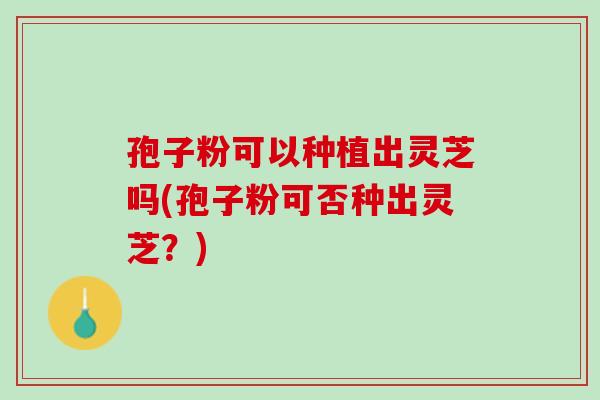 孢子粉可以种植出灵芝吗(孢子粉可否种出灵芝？)