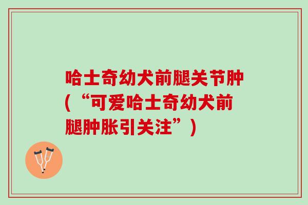 哈士奇幼犬前腿关节肿(“可爱哈士奇幼犬前腿肿胀引关注”)