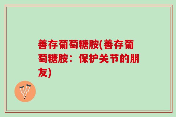 善存葡萄糖胺(善存葡萄糖胺：保护关节的朋友)