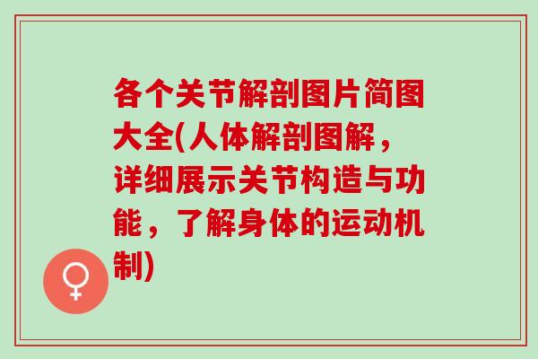 各个关节解剖图片简图大全(人体解剖图解，详细展示关节构造与功能，了解身体的运动机制)