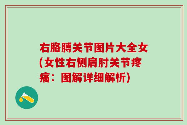 右胳膊关节图片大全女(女性右侧肩肘关节疼痛：图解详细解析)