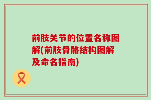 前肢关节的位置名称图解(前肢骨骼结构图解及命名指南)