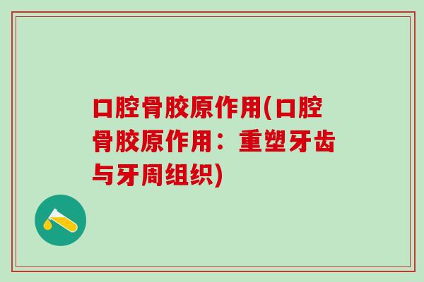 口腔骨胶原作用(口腔骨胶原作用：重塑牙齿与牙周组织)