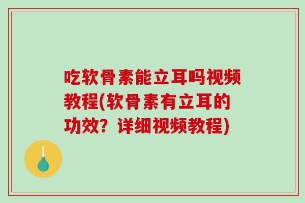 吃软骨素能立耳吗视频教程(软骨素有立耳的功效？详细视频教程)