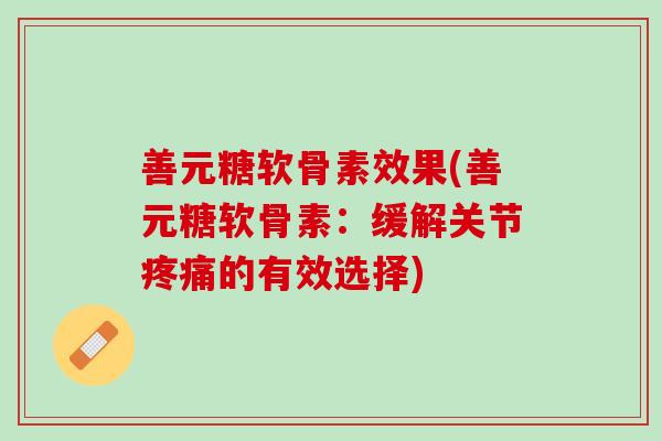 善元糖软骨素效果(善元糖软骨素：缓解关节疼痛的有效选择)