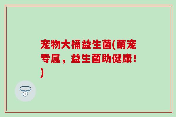 宠物大桶益生菌(萌宠专属，益生菌助健康！)