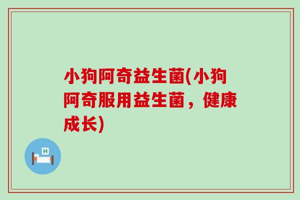 小狗阿奇益生菌(小狗阿奇服用益生菌，健康成长)