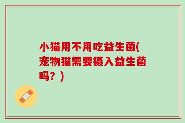 小猫用不用吃益生菌(宠物猫需要摄入益生菌吗？)