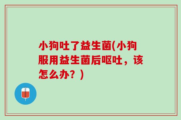 小狗吐了益生菌(小狗服用益生菌后呕吐，该怎么办？)