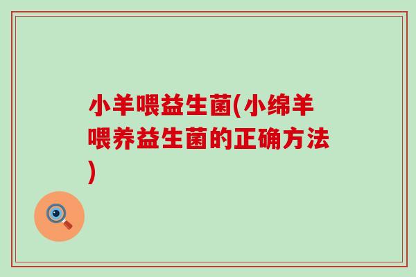 小羊喂益生菌(小绵羊喂养益生菌的正确方法)
