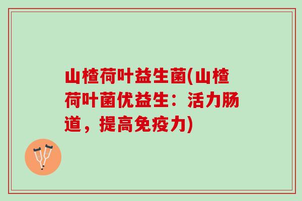 山楂荷叶益生菌(山楂荷叶菌优益生：活力肠道，提高免疫力)