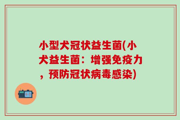 小型犬冠状益生菌(小犬益生菌：增强免疫力，预防冠状病毒感染)
