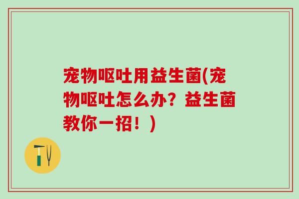 宠物呕吐用益生菌(宠物呕吐怎么办？益生菌教你一招！)