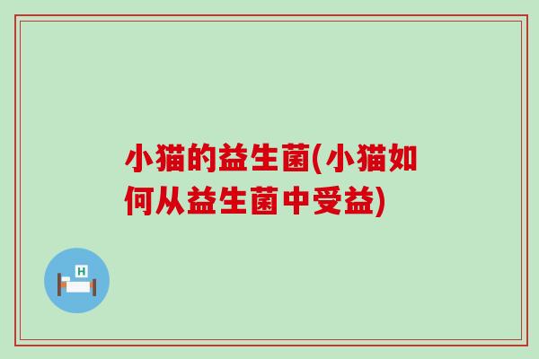 小猫的益生菌(小猫如何从益生菌中受益)