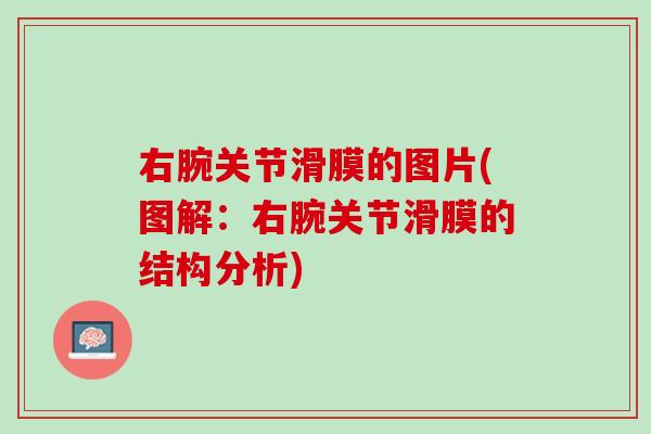 右腕关节滑膜的图片(图解：右腕关节滑膜的结构分析)