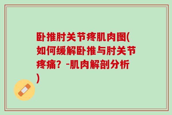 卧推肘关节疼肌肉图(如何缓解卧推与肘关节疼痛？-肌肉解剖分析)