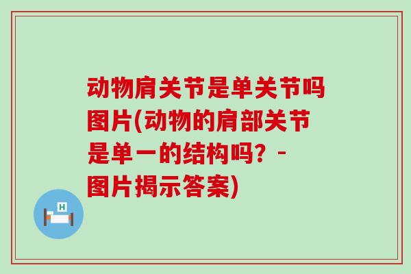 动物肩关节是单关节吗图片(动物的肩部关节是单一的结构吗？- 图片揭示答案)