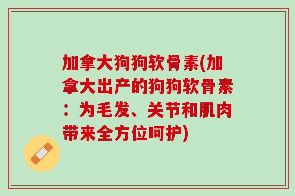 加拿大狗狗软骨素(加拿大出产的狗狗软骨素：为毛发、关节和肌肉带来全方位呵护)