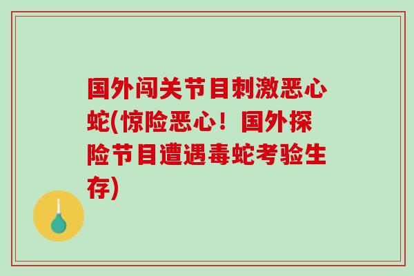 国外闯关节目刺激恶心蛇(惊险恶心！国外探险节目遭遇毒蛇考验生存)