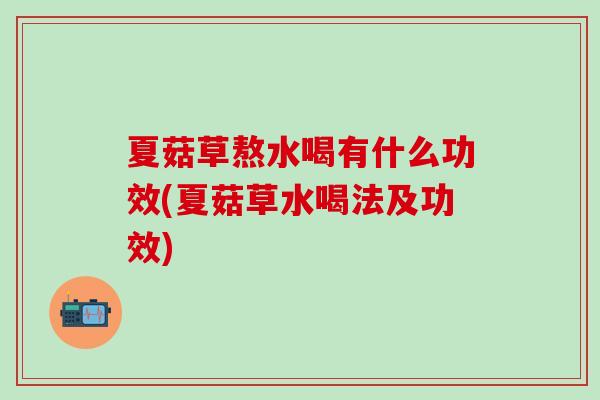 夏菇草熬水喝有什么功效(夏菇草水喝法及功效)