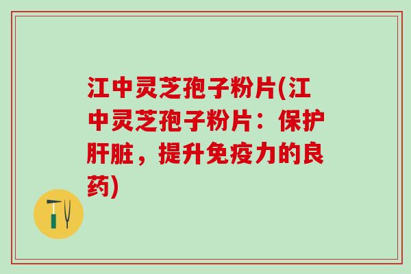 江中灵芝孢子粉片(江中灵芝孢子粉片：保护肝脏，提升免疫力的良药)