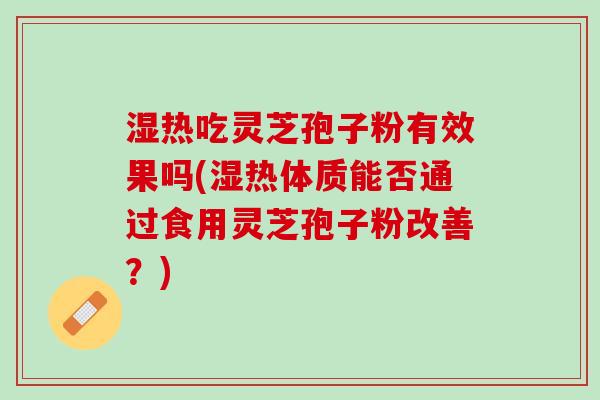 湿热吃灵芝孢子粉有效果吗(湿热体质能否通过食用灵芝孢子粉改善？)