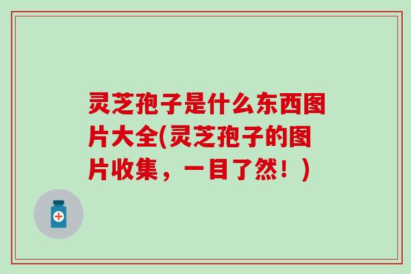 灵芝孢子是什么东西图片大全(灵芝孢子的图片收集，一目了然！)