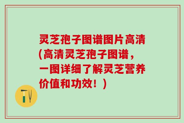 灵芝孢子图谱图片高清(高清灵芝孢子图谱，一图详细了解灵芝营养价值和功效！)