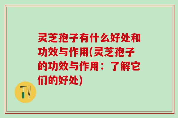 灵芝孢子有什么好处和功效与作用(灵芝孢子的功效与作用：了解它们的好处)