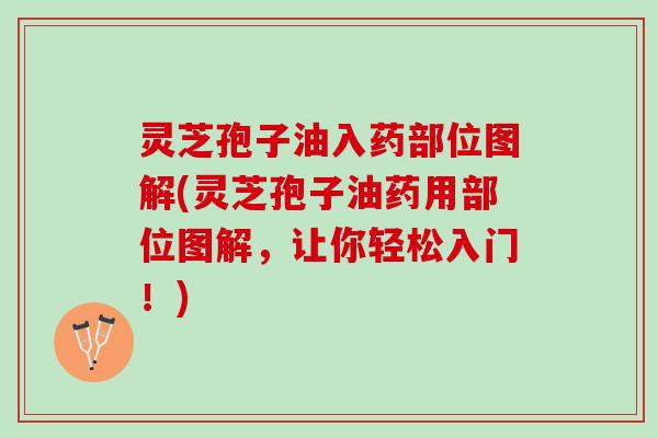 灵芝孢子油入药部位图解(灵芝孢子油药用部位图解，让你轻松入门！)