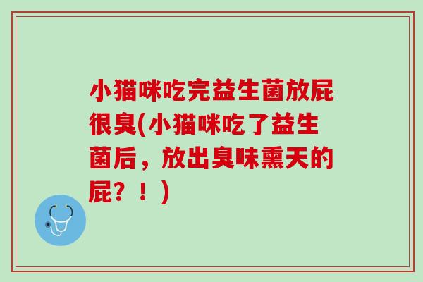 小猫咪吃完益生菌放屁很臭(小猫咪吃了益生菌后，放出臭味熏天的屁？！)