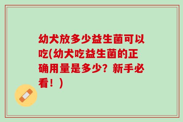 幼犬放多少益生菌可以吃(幼犬吃益生菌的正确用量是多少？新手必看！)