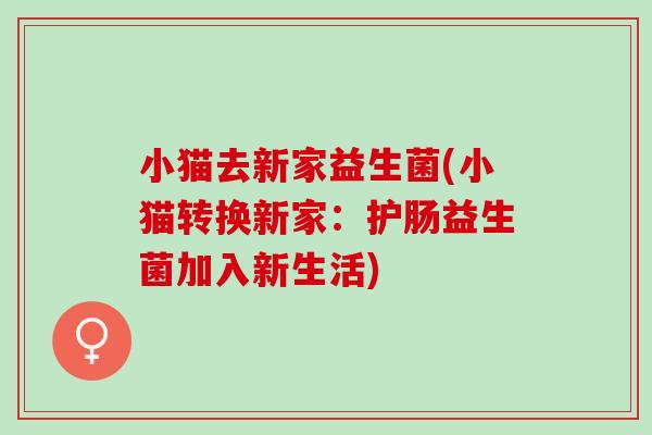 小猫去新家益生菌(小猫转换新家：护肠益生菌加入新生活)