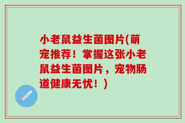 小老鼠益生菌图片(萌宠推荐！掌握这张小老鼠益生菌图片，宠物肠道健康无忧！)