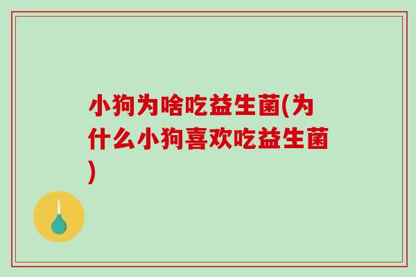 小狗为啥吃益生菌(为什么小狗喜欢吃益生菌)