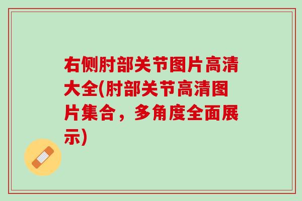 右侧肘部关节图片高清大全(肘部关节高清图片集合，多角度全面展示)