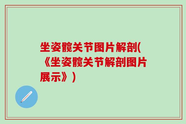 坐姿髋关节图片解剖(《坐姿髋关节解剖图片展示》)