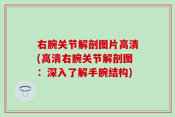 右腕关节解剖图片高清(高清右腕关节解剖图：深入了解手腕结构)