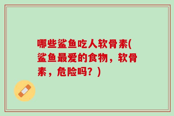 哪些鲨鱼吃人软骨素(鲨鱼最爱的食物，软骨素，危险吗？)