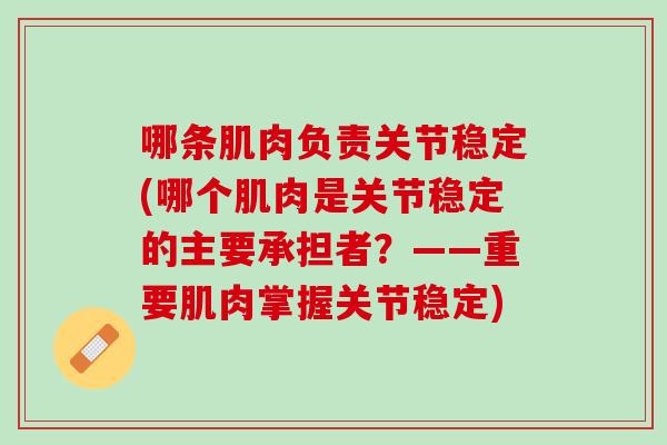 哪条肌肉负责关节稳定(哪个肌肉是关节稳定的主要承担者？——重要肌肉掌握关节稳定)