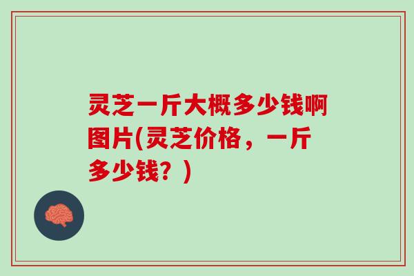 灵芝一斤大概多少钱啊图片(灵芝价格，一斤多少钱？)